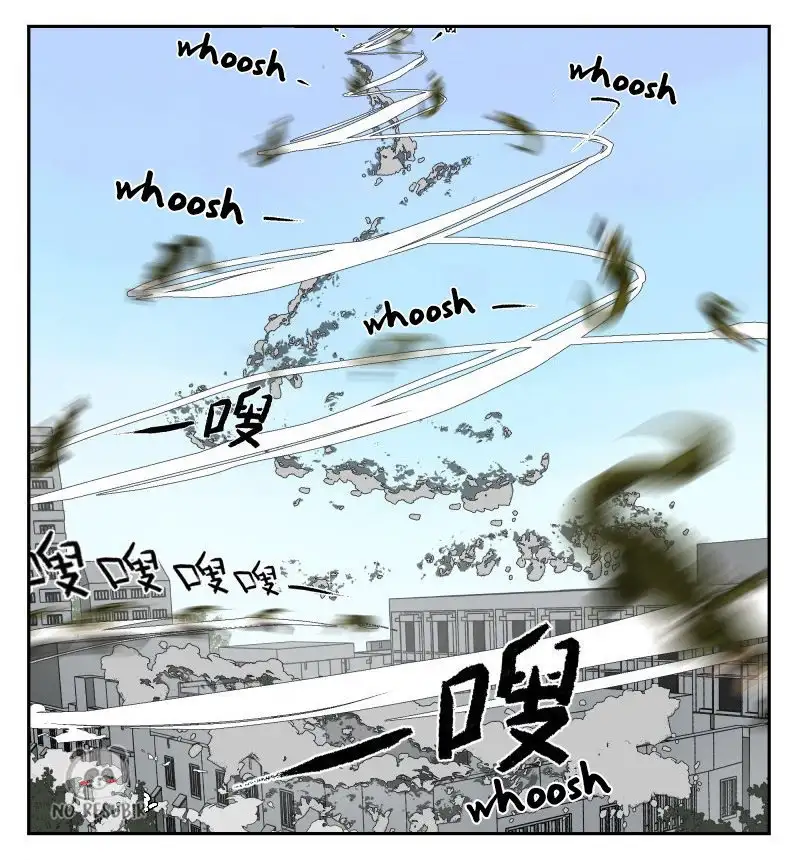 Nan Hao y Shang Feng: El Dúo Inusual —  Capítulo 19 — 11