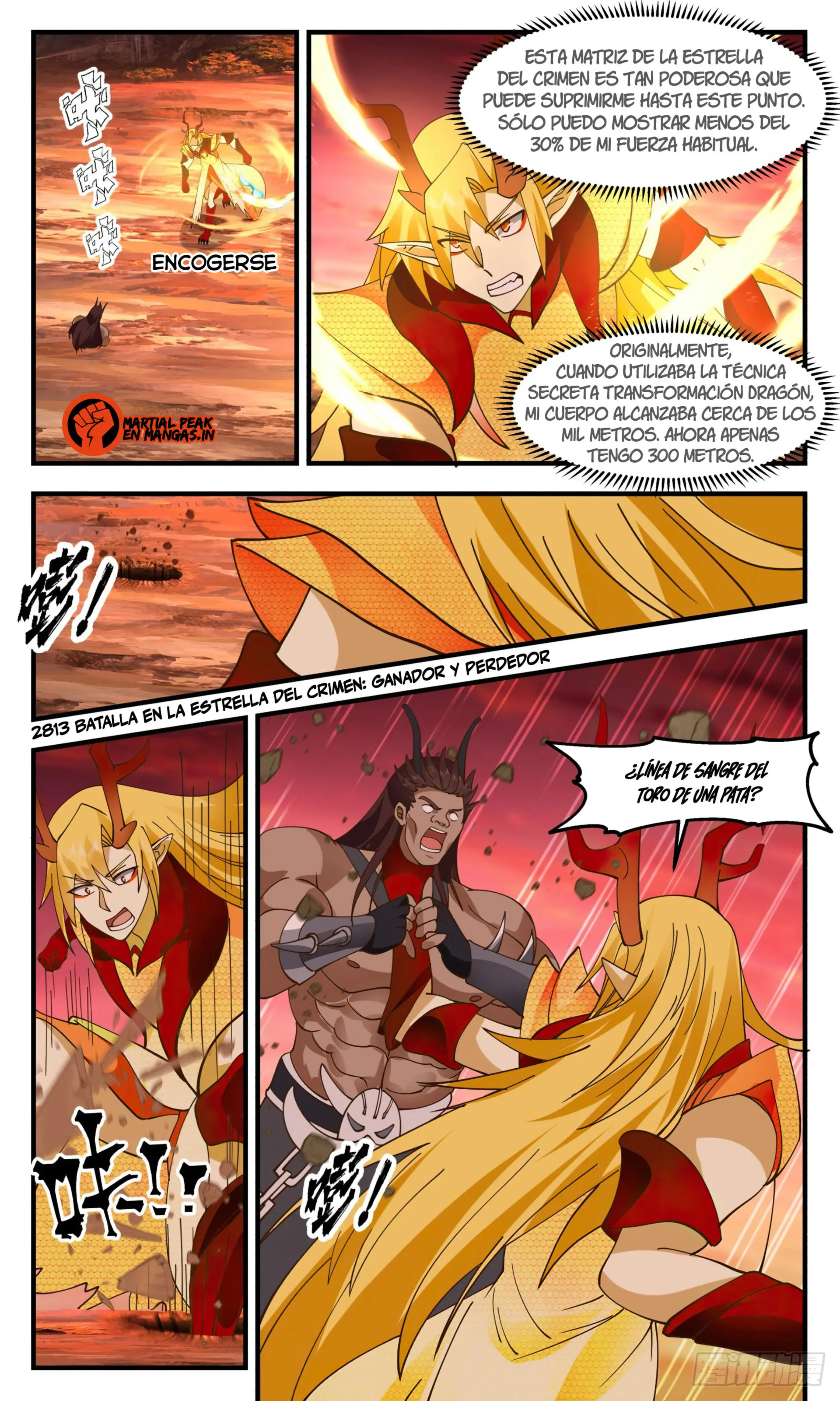 La Cumbre del Arte Marcial — Capítulo 2813 — 2