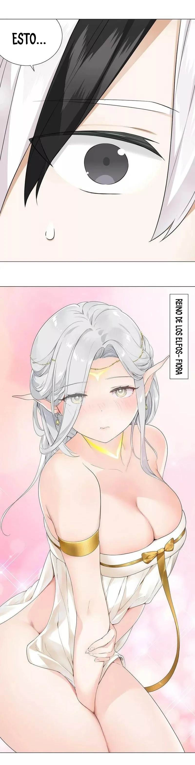 Mi Harem Es Tan Grande Que Tuve Que Ascender — Capítulo 69 — 17