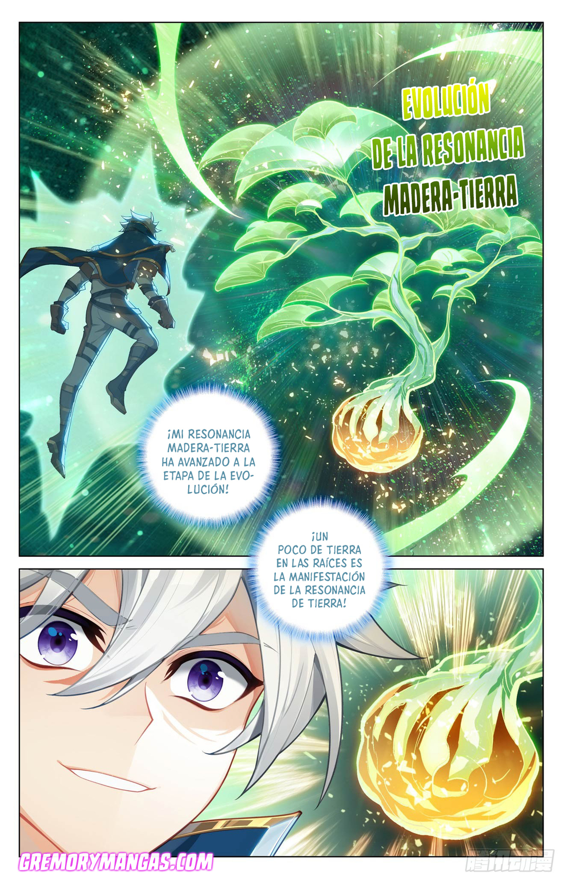 Rey de Todas las Resonancias — Capítulo 243 — 8