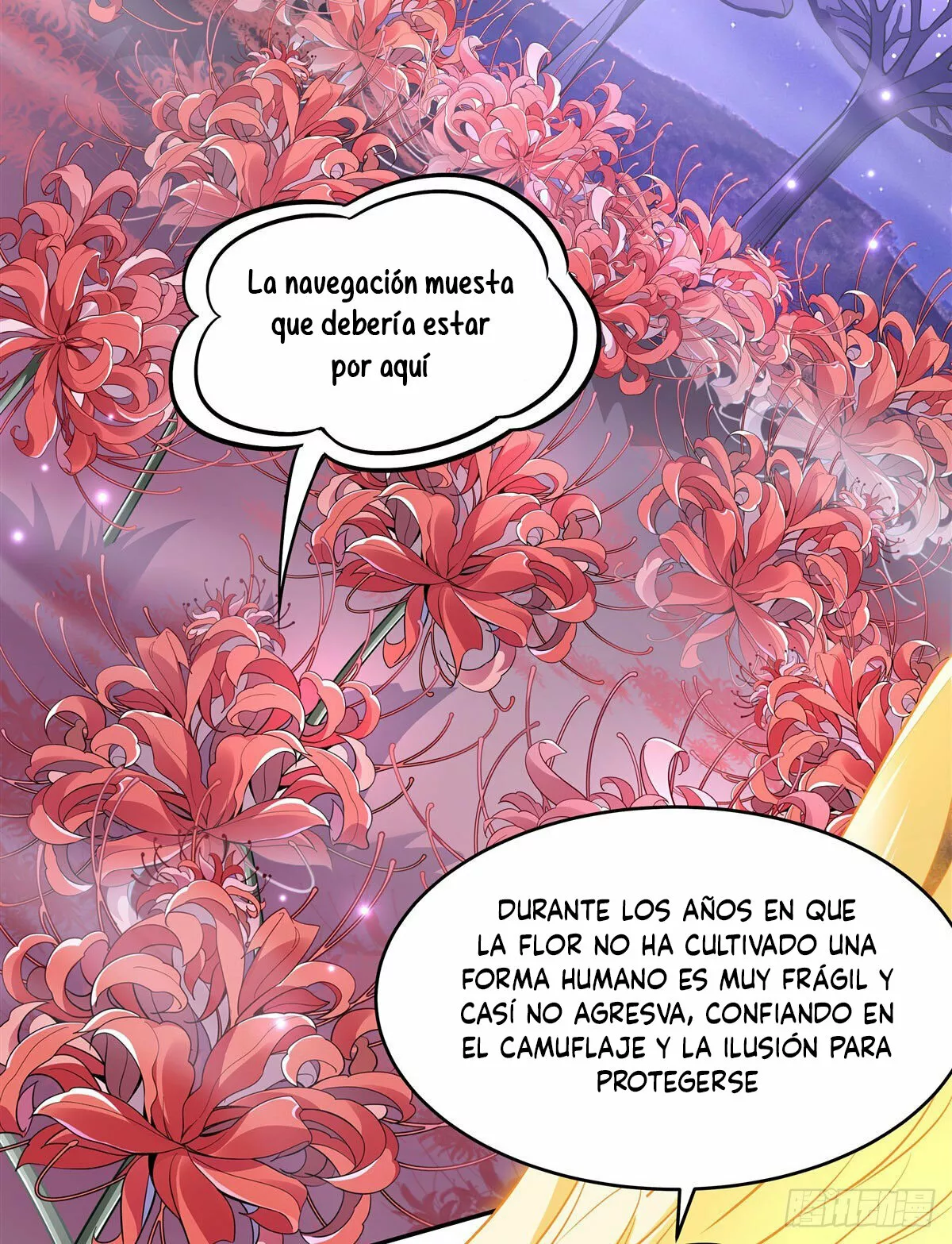 Mis Discípulas, las Futuras Soberanas del Cielo — Capítulo 92 — 11