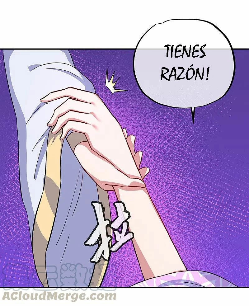 Espíritu de batalla sin igual —  Capítulo 313 — 28