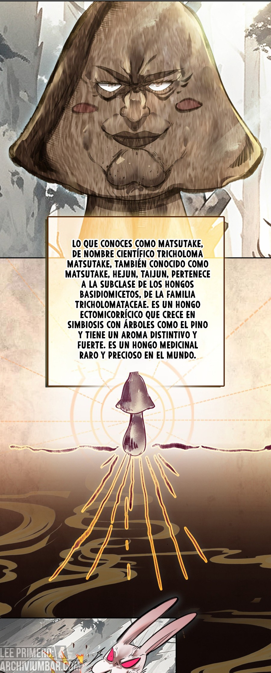 En realidad, soy un experto incomparable — Capitulo 35 — 14